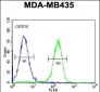 PYHIN1 Antibody (N-term)