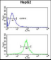 LDHD Antibody (N-term)