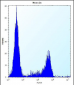 CASC4 Antibody  (C-term)