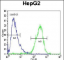 ZC12A Antibody (Center)