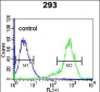 KARS Antibody (N-term)