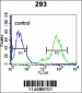 TIEG Antibody (Center)