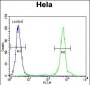 UQCRFS1 Antibody (C-term)