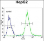 PALB2 Antibody (Center)