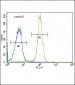 SDHD Antibody (N-term)