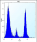 POMT1 Antibody (C-term)