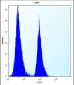 ST5 Antibody (C-term)