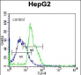 RPL15 Antibody (N-term)