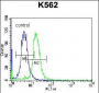 STARD5 Antibody (N-term)