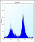 Mouse Raf1 Antibody (N-term)