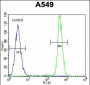 HN1 Antibody (Center)