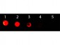 Anti-MOUSE IgG2b (Gamma 2b chain) ( ATTO 488 Conjugated) Pre-adsorbed Secondary Antibody