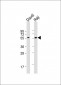 FCRL4 Antibody (C-term)