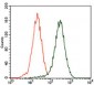 CSPG4 Antibody