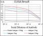 EIF2A Antibody