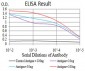 Tlr2 Antibody