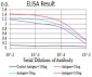 Tlr2 Antibody