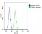 COL17A1 Antibody (Center)