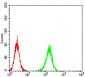 Mouse Monoclonal Antibody to ADAMTS1