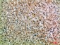 ASPP1 Polyclonal Antibody