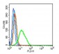 PDE5A Polyclonal Antibody