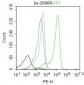 S100-A8 / MRP8 Polyclonal Antibody