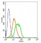 CACH6/Cav2.3 Polyclonal Antibody