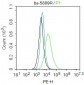 Hyaluronidase3 Polyclonal Antibody