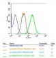 NARG2 Polyclonal Antibody