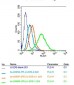 NARG2 Polyclonal Antibody