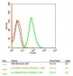 NARG2 Polyclonal Antibody