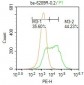 ACPT Polyclonal Antibody