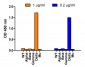 SARS-CoV-2 (COVID-19) Spike 156-157EFdel Antibody (Delta Variant)