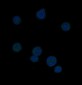 Anti-Bcl-6 Rabbit Monoclonal Antibody