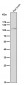 Anti-FGFR3 Rabbit Monoclonal Antibody