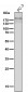 Anti-Collagen XVII Rabbit Monoclonal Antibody