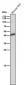 Anti-TMEM173 Monoclonal Antibody