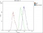 Anti-AMPK beta 2 PRKAB2 Antibody Picoband™ (monoclonal, 6G1)