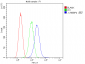 Anti-RbAp48 RBBP4 Antibody Picoband™ (monoclonal, 9F3)