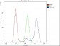 Anti-Cytochrome C CYCS Antibody Picoband™ (monoclonal, 15F10)