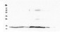 Anti-Cytochrome C CYCS Antibody Picoband™ (monoclonal, 15F10)