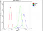 Anti-ADA Antibody Picoband™ (monoclonal, 6D4)