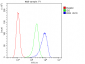 Anti-Beta 2 Microglobulin B2M Antibody Picoband™ (monoclonal, 2H10)