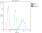 Anti-CA2 Antibody Picoband™ (monoclonal, 10E11)