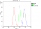 Anti-STUB1 Antibody Picoband™ (monoclonal, 13I8)