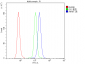 Anti-AIF/AIFM1 Antibody Picoband™ (monoclonal, 2I5)