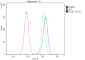 Anti-SLC2A1 Antibody Picoband™ (monoclonal, 10C10)