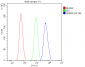 Anti-BRG1 SMARCA4 Antibody Picoband™ (monoclonal, 3F4)