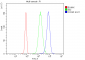 Anti-COX IV COX4I1 Antibody Picoband™ (monoclonal, 4G11)