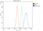 Anti-Hsp60/HSPD1 Antibody Picoband™ (monoclonal, 6G2)